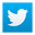 ico_twitter